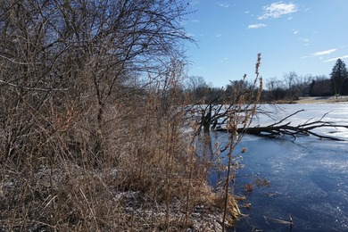 Own your private slice of paradise on Griswold Lake in Holiday - photo 3