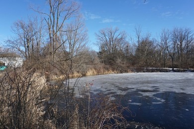 Own your private slice of paradise on Griswold Lake in Holiday - photo 4