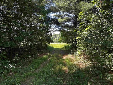 This 10 acres is well suited for building an executive retreat - photo 11