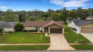 Lake Tarpon Home For Sale in Palm Harbor Florida