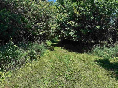 This 10 acres is well suited for building an executive retreat - photo 12