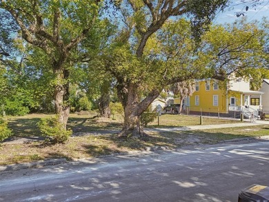 Prime vacant lot in the heart of Historic Ybor City! This - photo 12