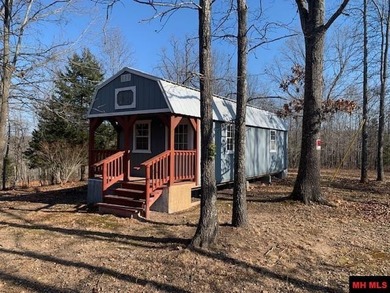 Lake Home For Sale in Harriet, Arkansas