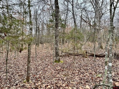 Additional listing photo 3