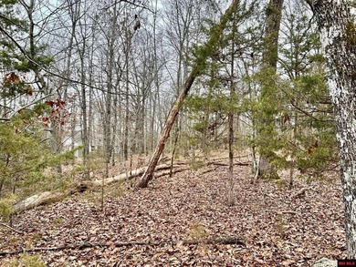 Additional listing photo 4