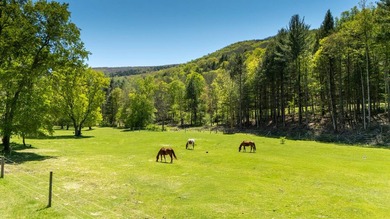 LUXURY PROPERTY AUCTION: 15-29 July. Accepting starting bids - photo 47