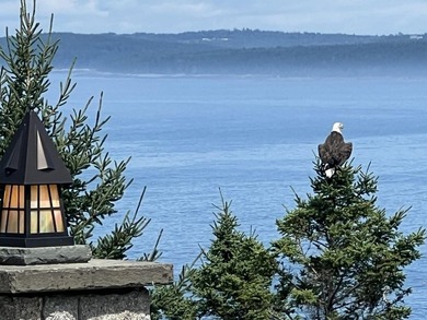 Eastern Watch, located just outside of downtown Bar Harbor - photo 10