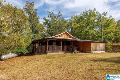 Lake Home For Sale in Weogufka, Alabama