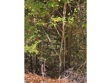 Lake Thunderbird Lot For Sale in Cherokee Village Arkansas