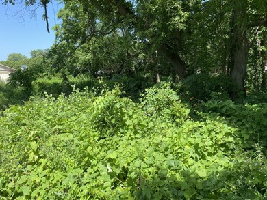 Two lots across the street from Eagle Lake. These parcels maybe - photo 1