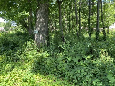 Two lots across the street from Eagle Lake. These parcels maybe - photo 2