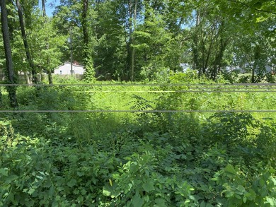 Two lots across the street from Eagle Lake. These parcels maybe - photo 3