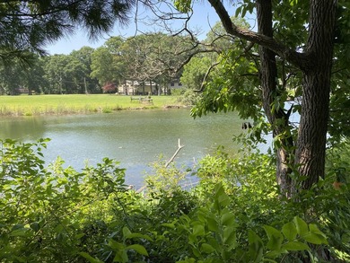 Eagle Lake frontage! One acre lot that can be purchased with the - photo 1