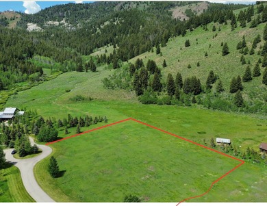 Big Wood River Acreage Sale Pending in Blaine County Idaho