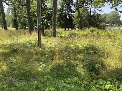 Eagle Lake frontage! One acre lot that can be purchased with the - photo 2