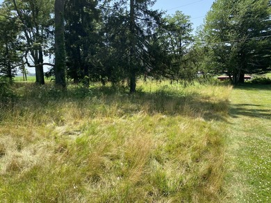 Eagle Lake frontage! One acre lot that can be purchased with the - photo 3
