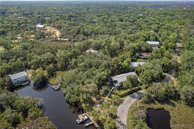 WATEFRONT/Vacant Land. Seller Motivated. Rare opportunity to own - photo 14