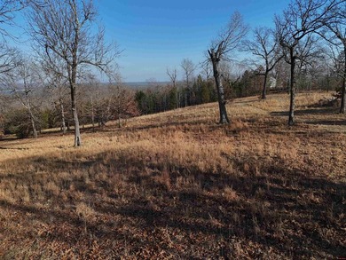 Escape to the Ozarks and design your dream home on a 4.35-acre - photo 4