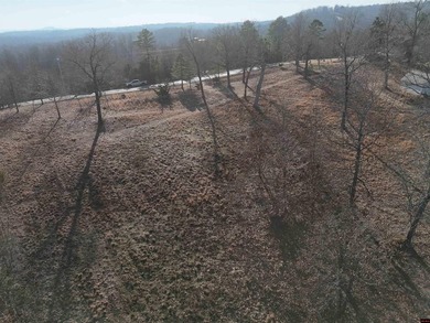 Escape to the Ozarks and design your dream home on a 4.35-acre - photo 8