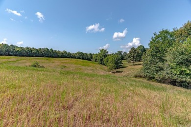 Welcome to Market 36.26 +/- acres on County Road 66 in Calico - photo 4