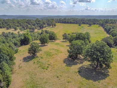 Welcome to Market 36.26 +/- acres on County Road 66 in Calico - photo 7