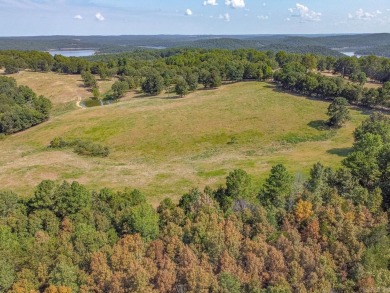 Welcome to Market 36.26 +/- acres on County Road 66 in Calico - photo 9