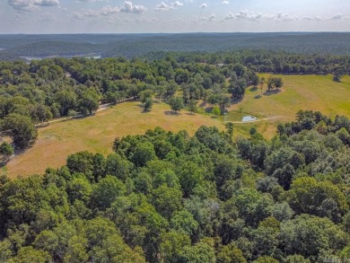Welcome to Market 36.26 +/- acres on County Road 66 in Calico - photo 10