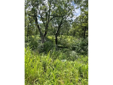 Lake Lot For Sale in Sulphur, Oklahoma