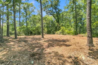 Experience the Charleston waterfront lifestyle on this - photo 25