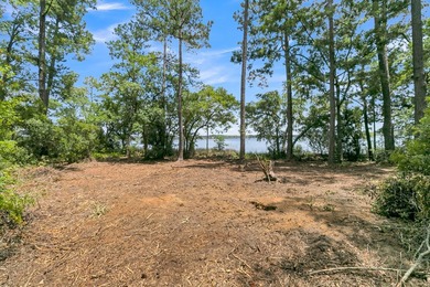 Experience the Charleston waterfront lifestyle on this - photo 26