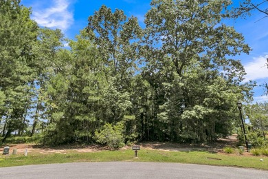 Experience the Charleston waterfront lifestyle on this - photo 28