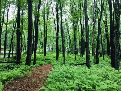 Lake Lot For Sale in Pocono Lake, Pennsylvania