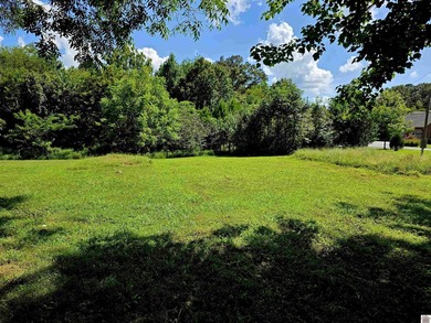 New listing alert!!! Old Newburg Rd in Murray is where you will - photo 6