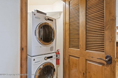 Unit 45 is a large penthouse luxury condo with views to Aspen - photo 34