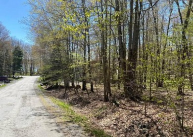 Lake Lot For Sale in Pocono Lake, Pennsylvania