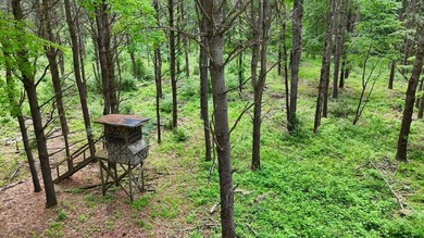 Some properties offer a place to spend tim e on the lake. Others - photo 10