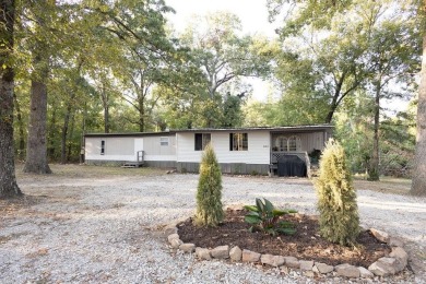 Norfork Lake Home For Sale in Salesville Arkansas