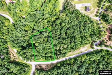 Discover the ultimate East Tennessee lifestyle on this spacious - photo 11