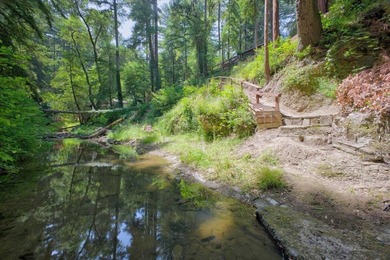 Enjoy a year-round creek from your own private mountain retreat - photo 12