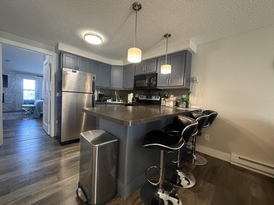 Welcome to this beautifully updated Wisconsin Dells condo - photo 12