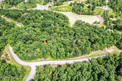 Discover the ultimate East Tennessee lifestyle on this spacious - photo 13