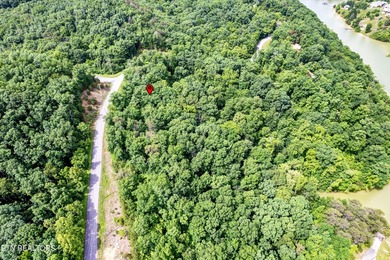 Discover the ultimate East Tennessee lifestyle on this spacious - photo 15
