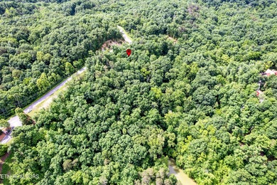Discover the ultimate East Tennessee lifestyle on this spacious - photo 16