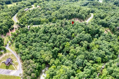 Discover the ultimate East Tennessee lifestyle on this spacious - photo 17