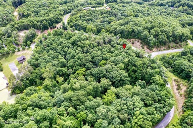 Discover the ultimate East Tennessee lifestyle on this spacious - photo 18