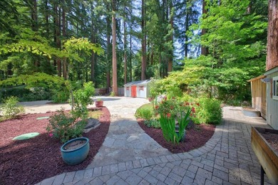 Enjoy a year-round creek from your own private mountain retreat - photo 19