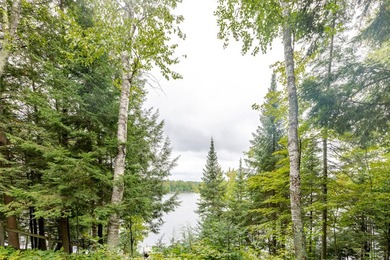 Check out this beautiful lake house on Tiger Cat Flowage soon - photo 20