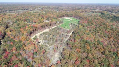 INVESTORS! This one is for you! 15.51 cleared surveyed acres - photo 21
