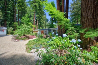 Enjoy a year-round creek from your own private mountain retreat - photo 21