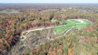 INVESTORS! This one is for you! 15.51 cleared surveyed acres - photo 22